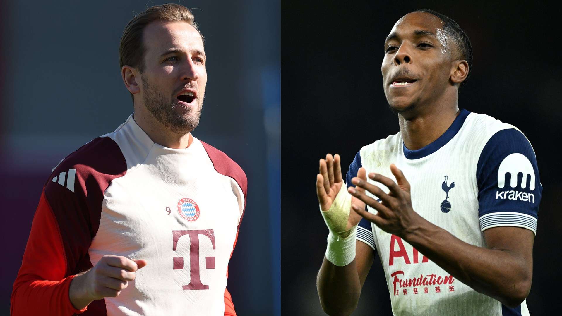 的战术宽容 的战术宽容